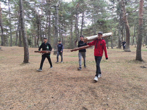 IMG 20231010 123010.jpg