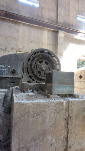 PXL 20231009 082723020.jpg