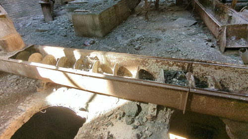 PXL 20231009 083530897.jpg