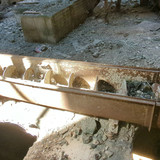 PXL 20231009 083530897