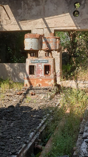 PXL 20231009 082923969.jpg