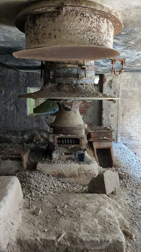 PXL 20231009 083332915.jpg
