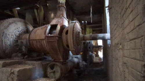 PXL 20231009 083038659.jpg