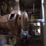 PXL 20231009 083038659