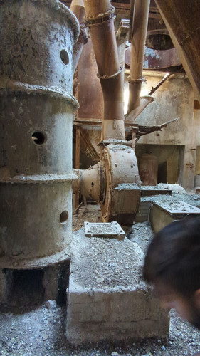 PXL 20231009 083603776.jpg