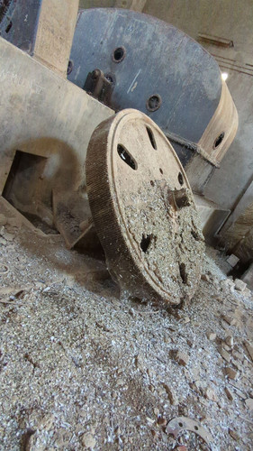 PXL 20231009 082726657.jpg