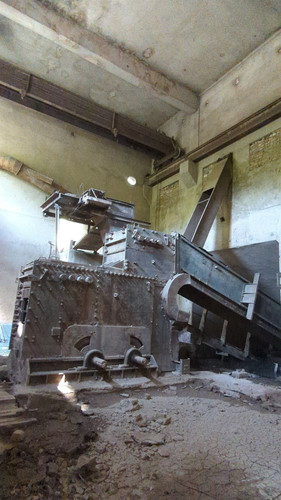 PXL 20231009 085032006.jpg