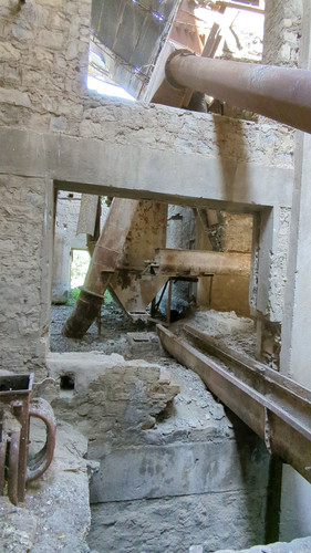PXL 20231009 083630658.jpg