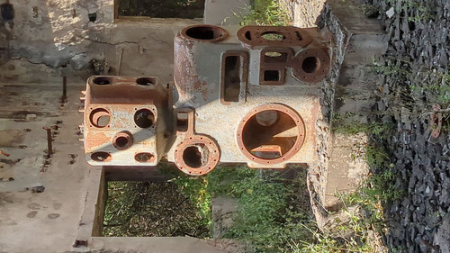 PXL 20231009 082846736.jpg