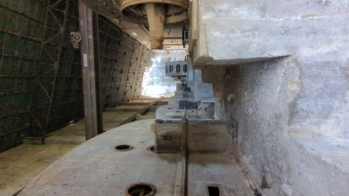 PXL 20231009 082836299.jpg