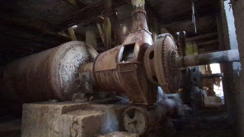 PXL 20231009 083040019.jpg