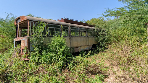 PXL 20231010 052648306.jpg