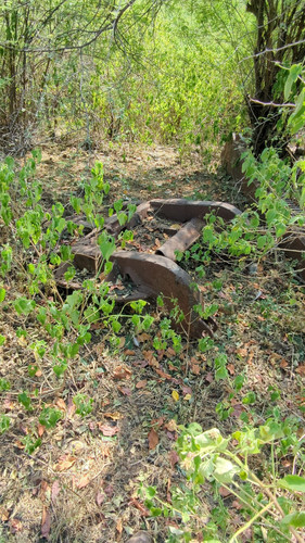 PXL 20231010 052833774.jpg