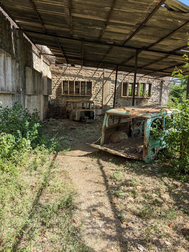 PXL 20231010 053739785.jpg