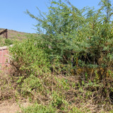 PXL 20231010 053200594
