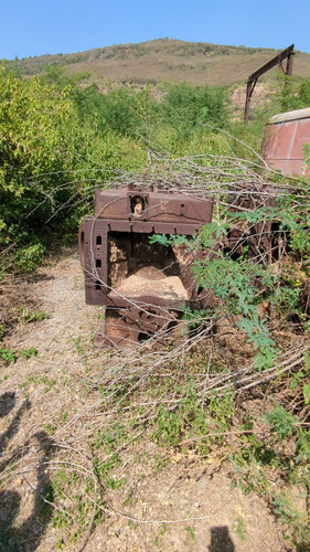 PXL 20231010 053205579.jpg