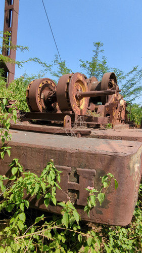 PXL 20231010 052913164.jpg