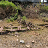PXL 20231010 053135117