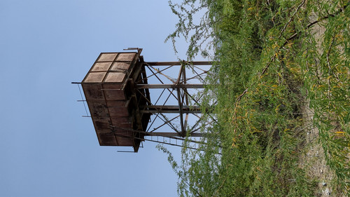 PXL 20231010 055952658.jpg