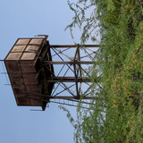 PXL 20231010 055952658