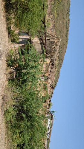 PXL 20231010 055948026.jpg