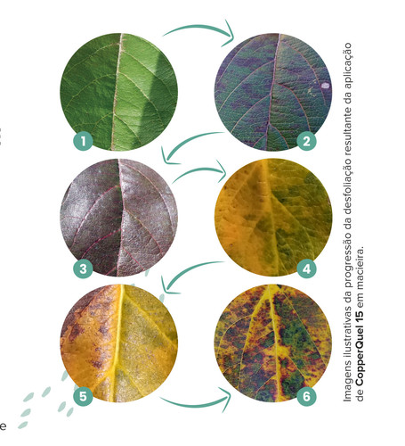 COPPERQUEL FOLHETO final.jpg