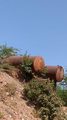 PXL 20231010 061231449.jpg