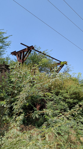 PXL 20231010 061736600.jpg
