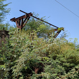 PXL 20231010 061736600