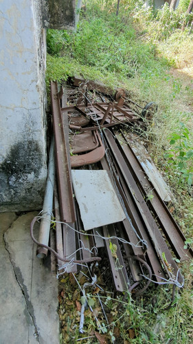 PXL 20231010 051135621.jpg