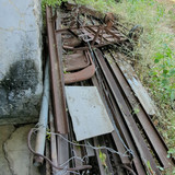 PXL 20231010 051135621