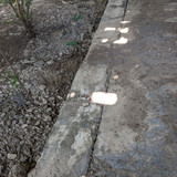 PXL 20231009 080947071