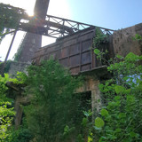 PXL 20231009 082612650