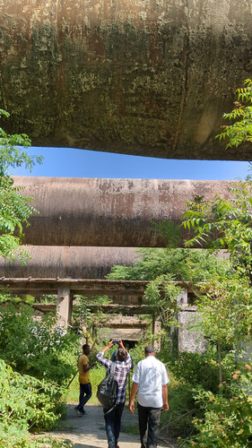 PXL 20231009 082414567.jpg