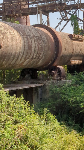 PXL 20231009 082143209.jpg