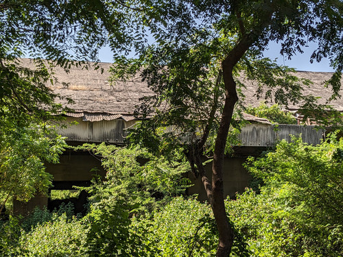 PXL 20231009 081547639.jpg