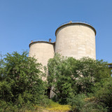 PXL 20231009 080509337