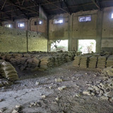PXL 20231009 081625313