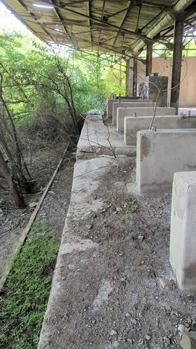 PXL 20231009 081223437.jpg