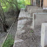 PXL 20231009 081223437