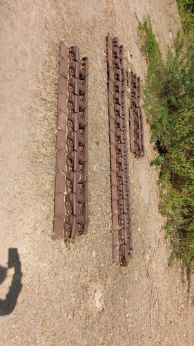 PXL 20231010 051513249.jpg