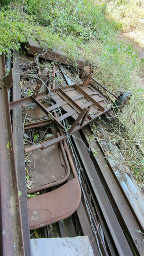 PXL 20231010 051138576.jpg