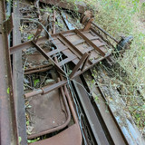 PXL 20231010 051138576