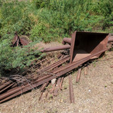 PXL 20231010 051427185