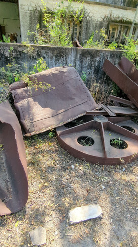 PXL 20231010 051354651.jpg