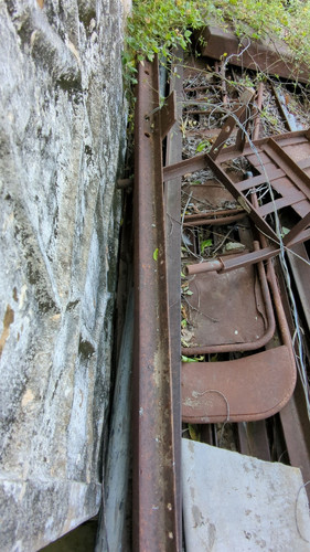 PXL 20231010 051139909.jpg