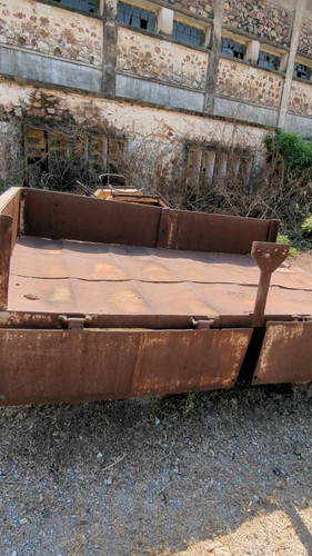 PXL 20231010 051534078.jpg