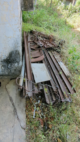 PXL 20231010 051142830.jpg
