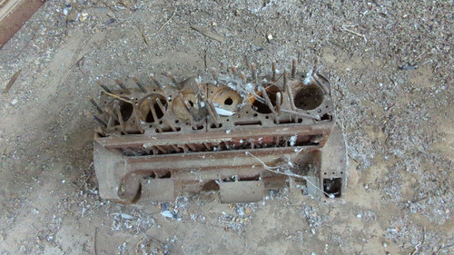 PXL 20231010 051638293.jpg