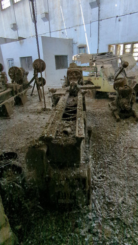 PXL 20231010 051846496.jpg